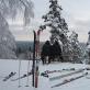 Dove andare a fare sci non alpino a Kavgolovo